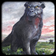 English Folklore - Black Shuck